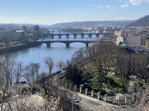 Unable to load image