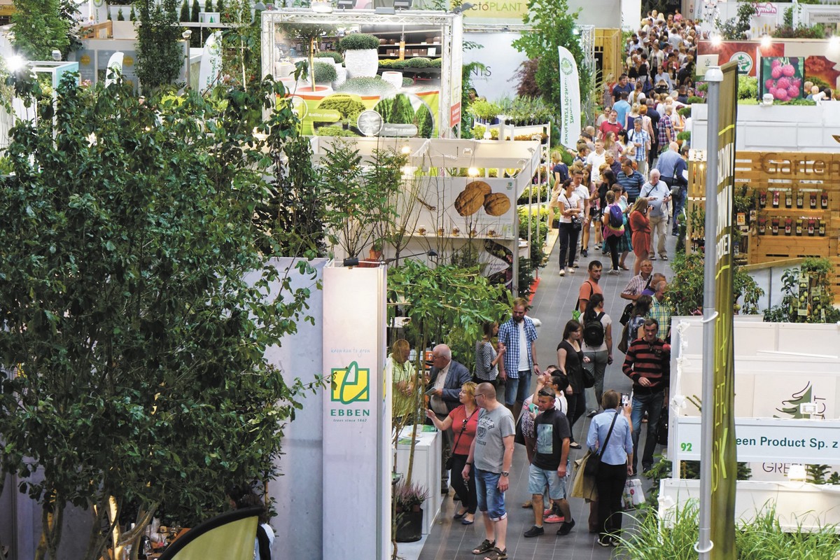 Unable to load image