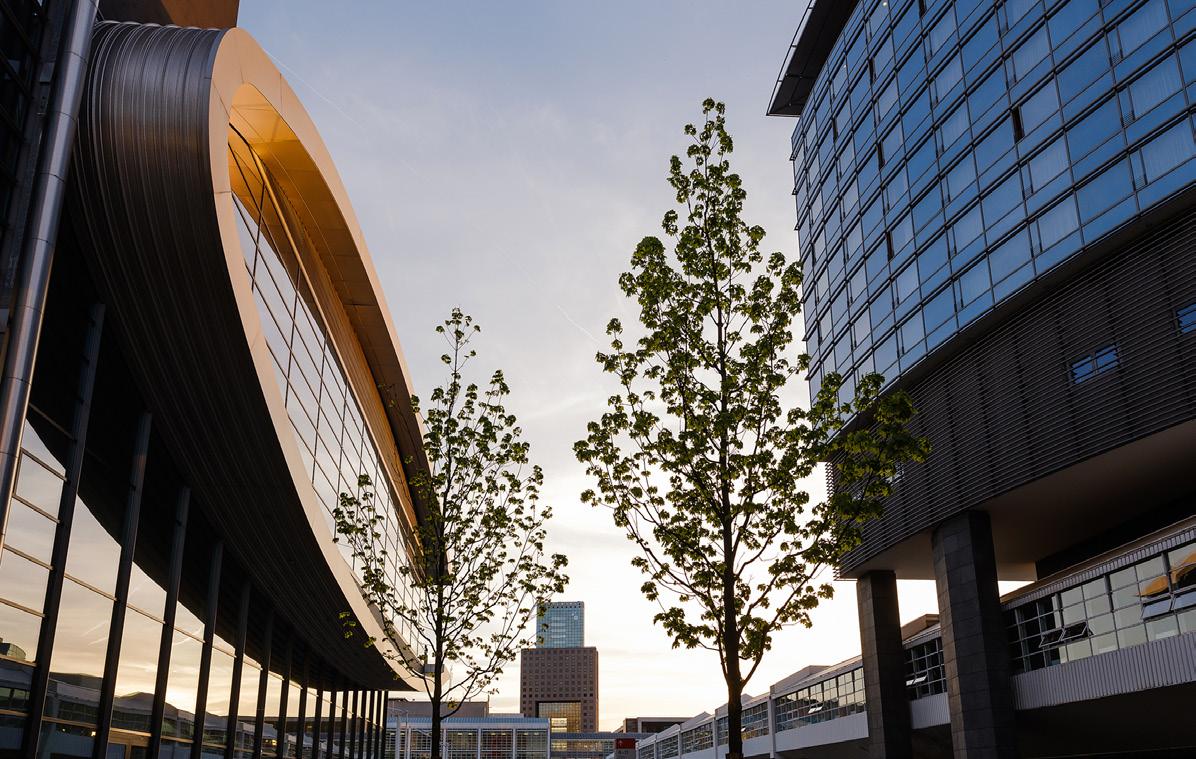 Unable to load image